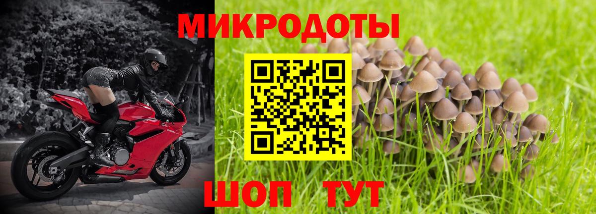 Галлюциногенные грибы Cubensis  Вход с VPN  Псилоцибиновые грибы Psilocybine cubensis  Нарткала 